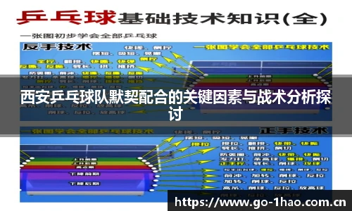 西安乒乓球队默契配合的关键因素与战术分析探讨